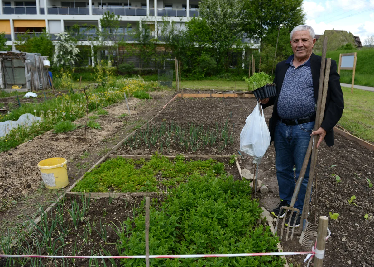 Gemeinsames Gärtnern auf der Färberwiese